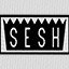 TeamSESH
