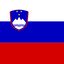 INVEST IN SLOVENIA