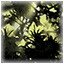 Jungle