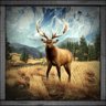 Elk Hunter