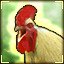 Only Rooster in the Yard