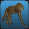 Angry Monkey