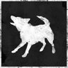 Animals protector