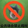 哇，什么情况？