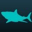 Wobbegong Winner