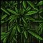 Hempmaker