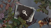 Just One Fix
