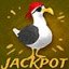 Win Bingo Jackpot
