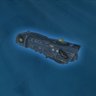 Sole survivor