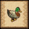 Young S.Duck 