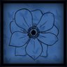 ANEMONE