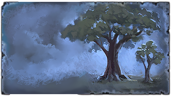 A House of My Own​