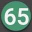 65 Points