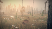 Mushroomer