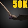 50K Bat Kills