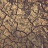 Completed Barren