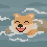 You Know Dogs Can Swim, Right?