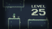 Level 25