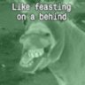 Like feasting on a behind