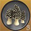 Mushroom Hunter Level 3