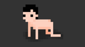 Animal trap