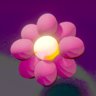 Pretty Flower
