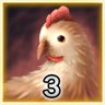 Chick Novice