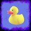 Rubber Duck Champion