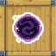 Warp Zoned