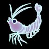 Free the Shrimp