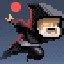 Ninja Player