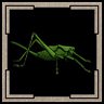 Pro Is That A Bug