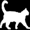 You found 10 cats