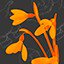 Flower Power 