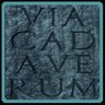 Find the Road of Cadavers