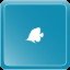Copperband butterflyfish