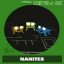 Nanite Repair