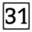 Level 31