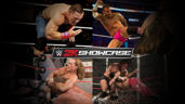 Wrestling heritage