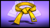 Yellow Belt