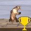 You Won the Dumpster Olympics