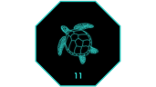 HSA - 11