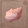 The Hidden Shell