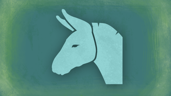 Large donkey