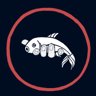 Novice Fisherman