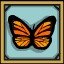 The Butterfly