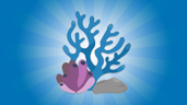 Master of the corals