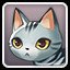 Cat Beginner