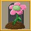 One Flower to Rule Them All