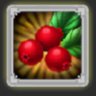 Herbalist 2